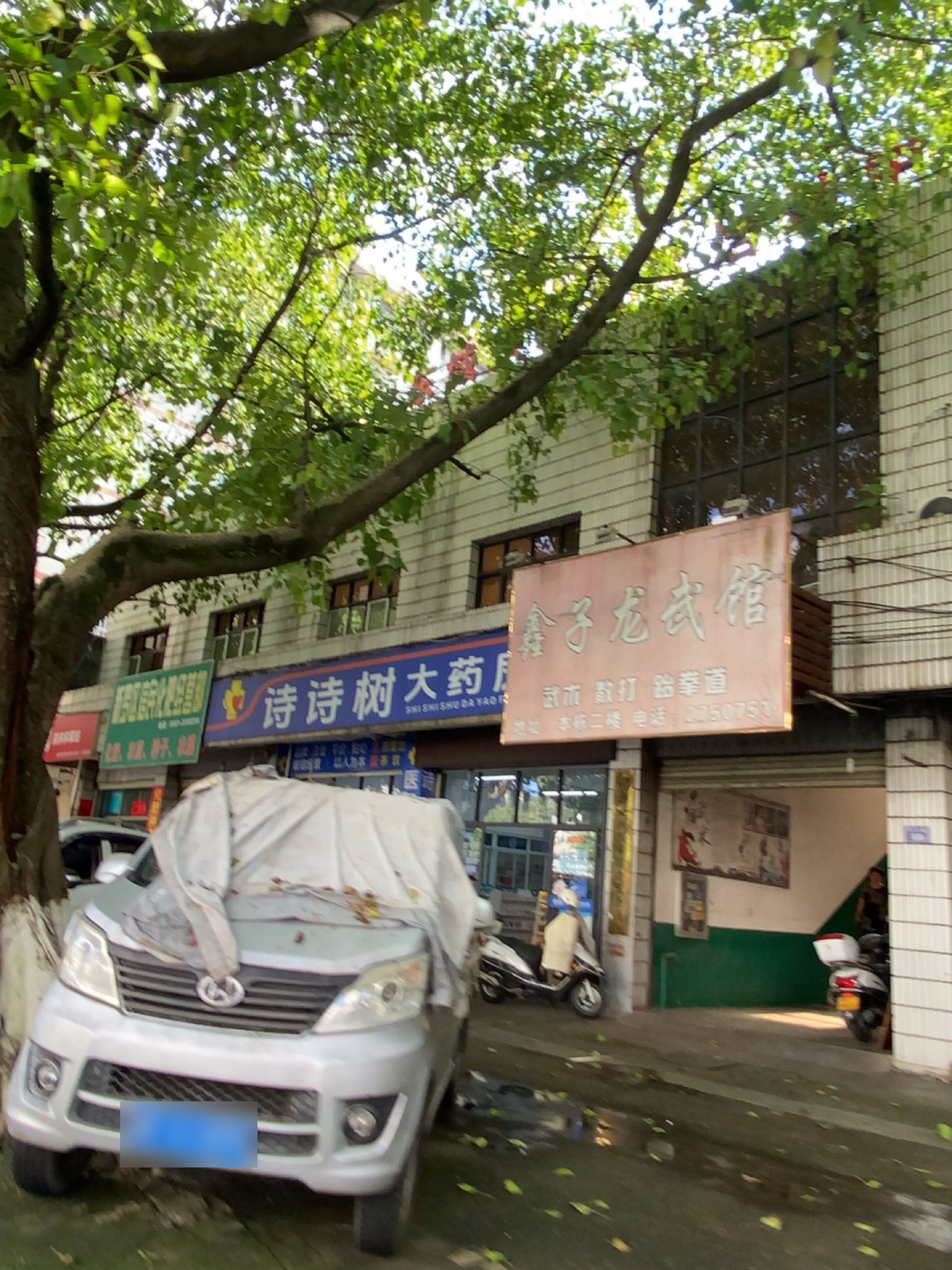 鑫子龙武馆