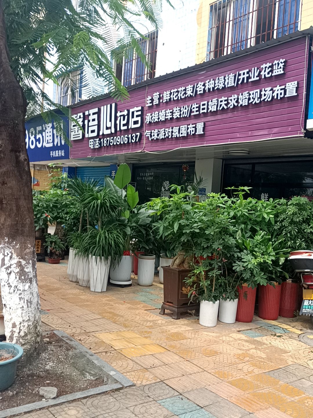 馨语心花店