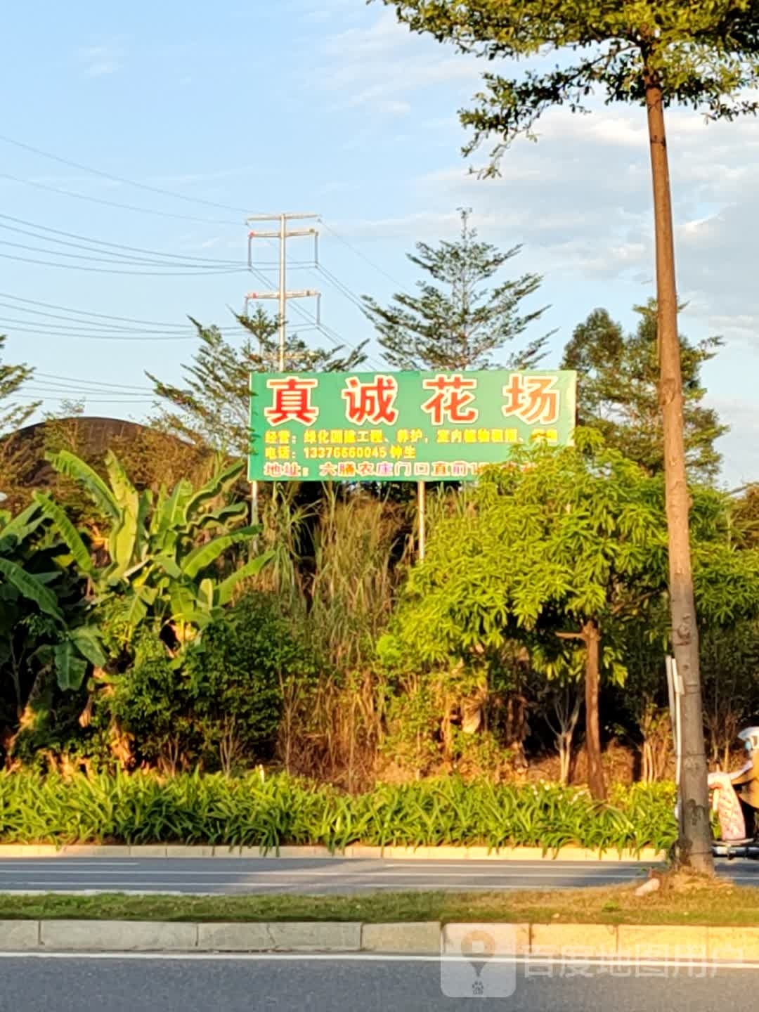 真诚花场