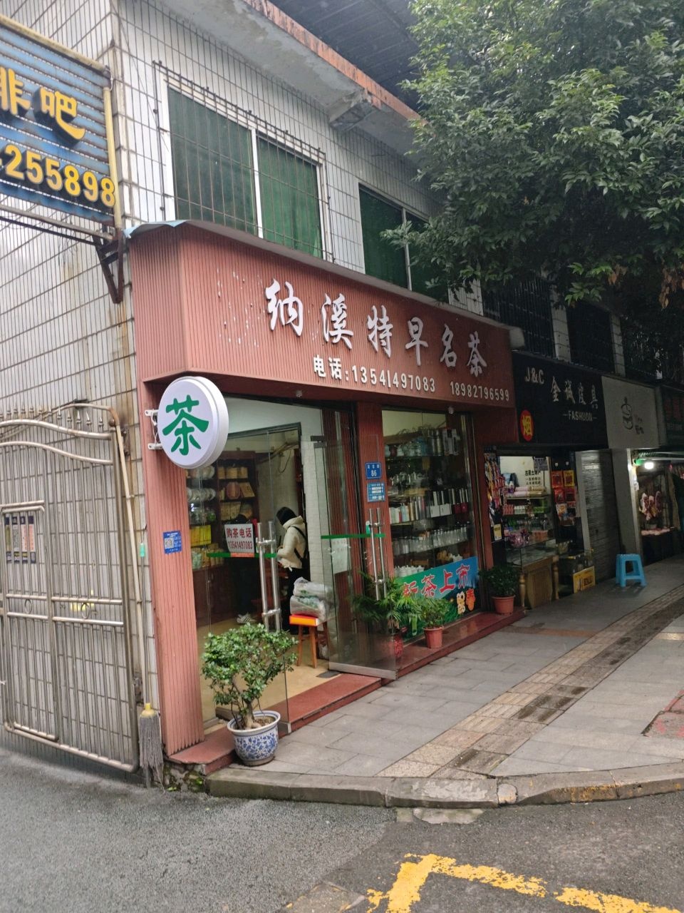 纳溪特早名茶