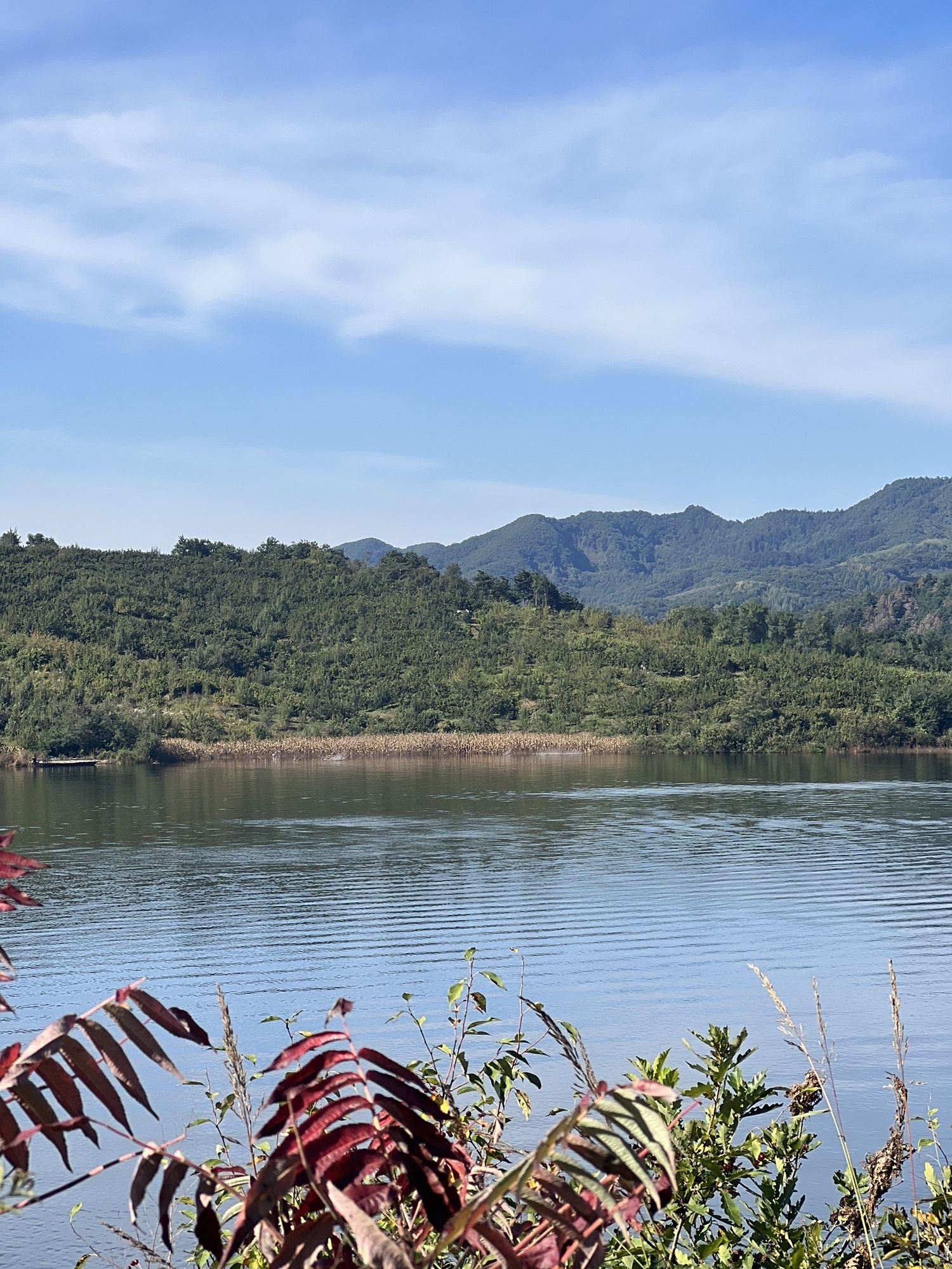 关山湖风景区