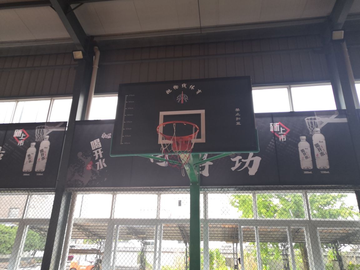 抛物线篮球馆