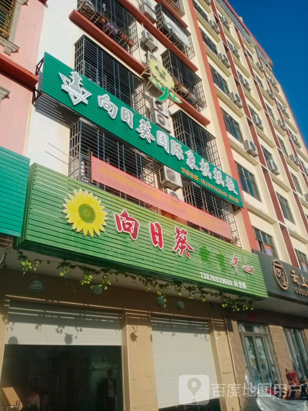 向日葵国际象棋棋校