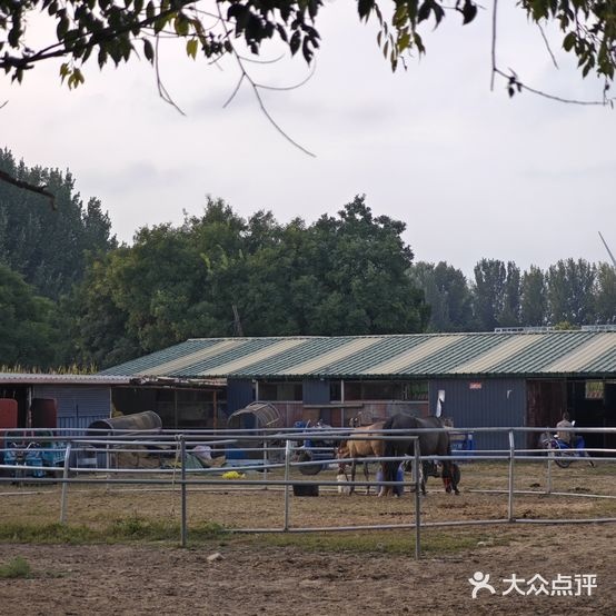 骑点马术俱乐部