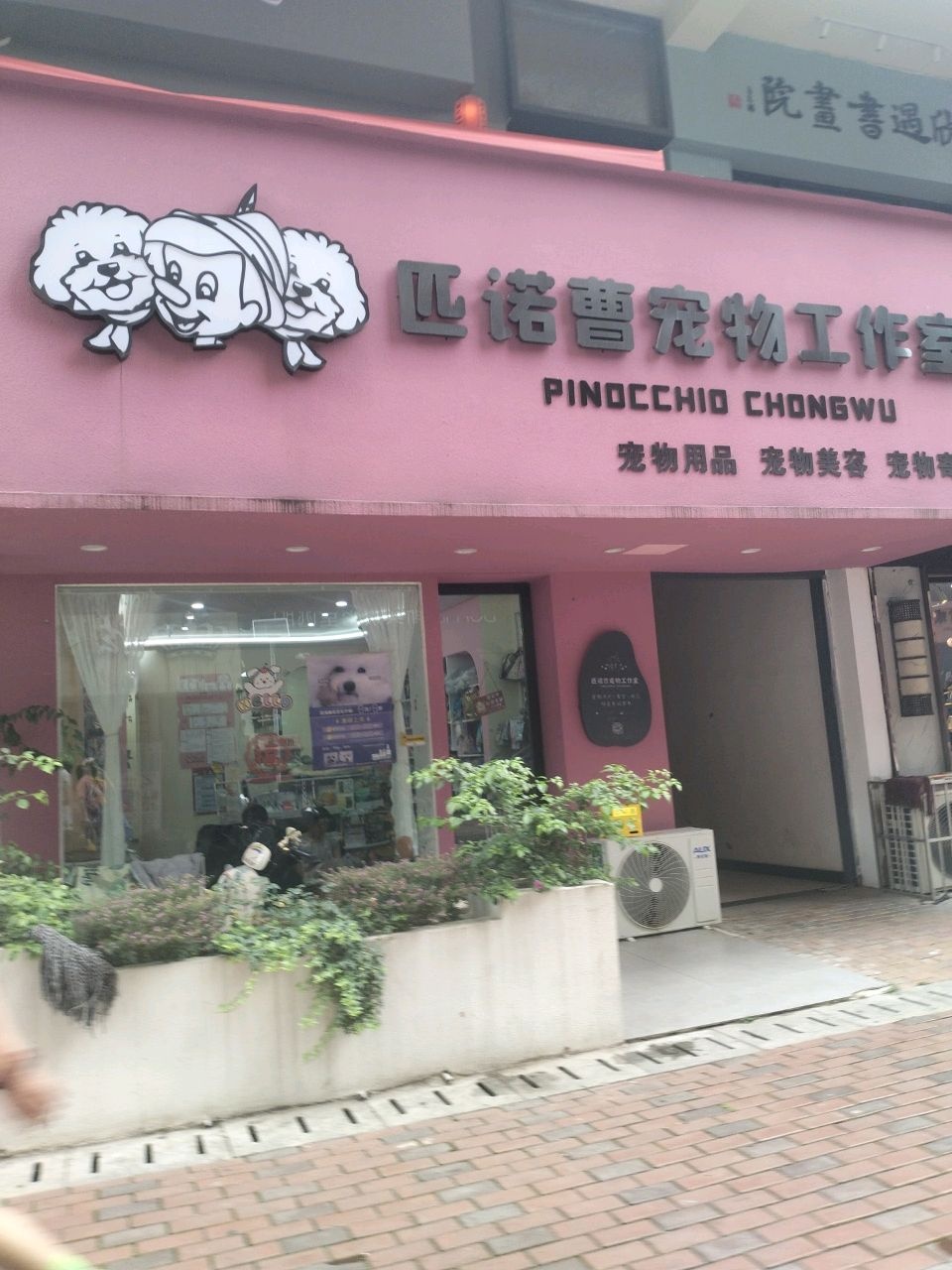 匹诺曹宠物工作室