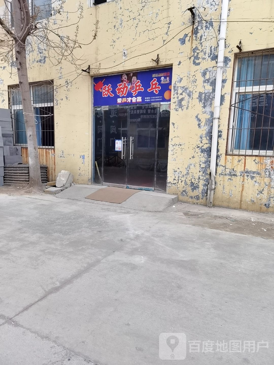 跃动乒乓