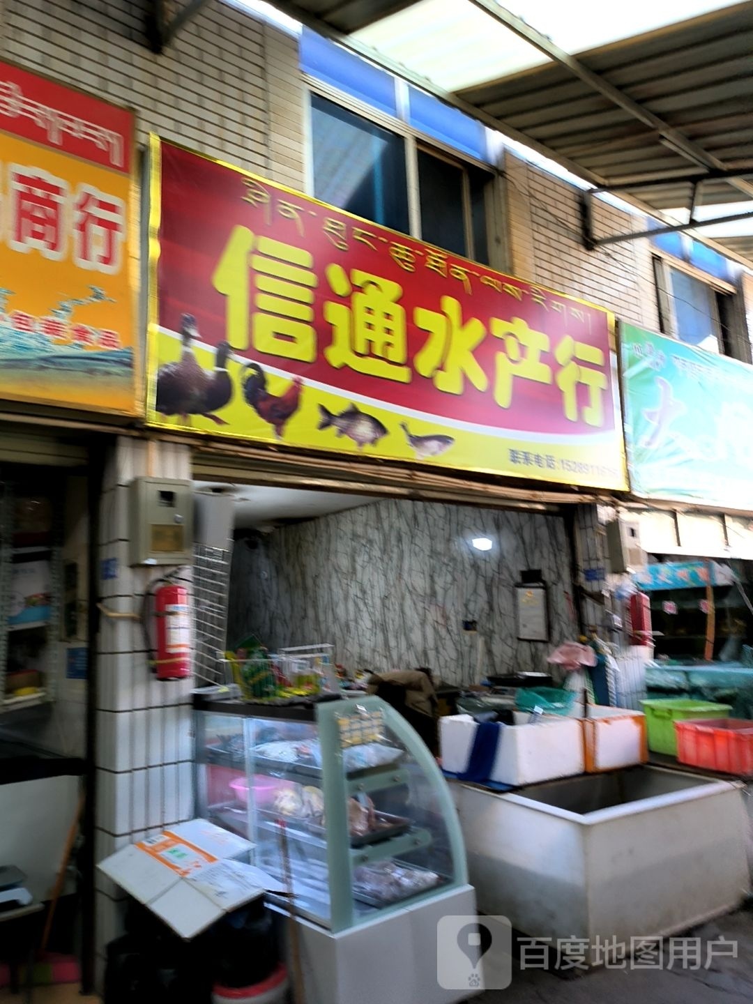信通水产红