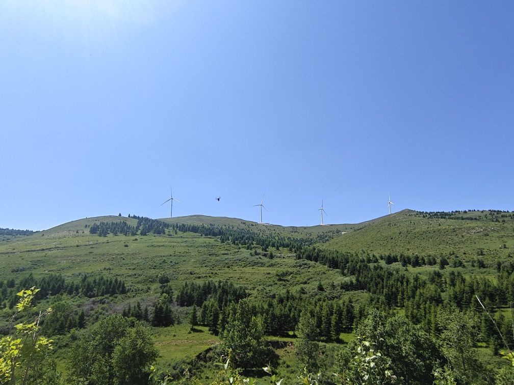 黑驼山