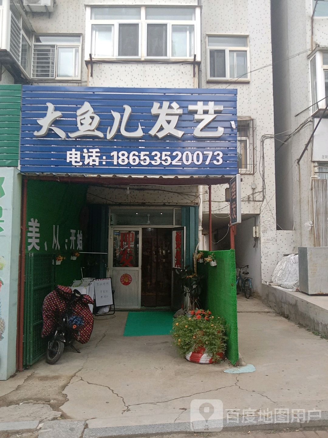 大鱼儿艺发