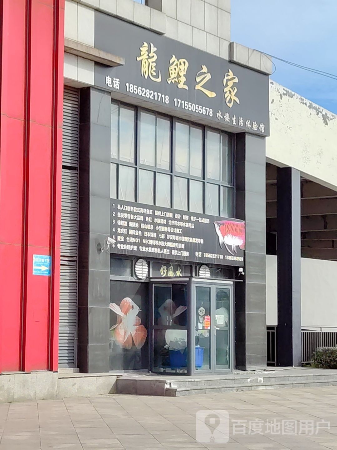 龙鲤之家水族生活体验馆