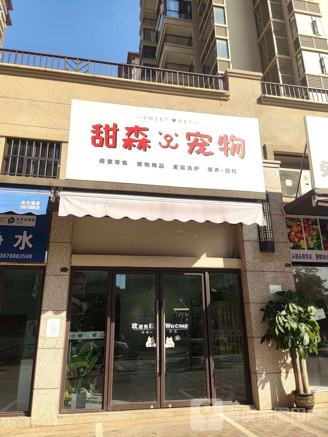 甜森宠物店