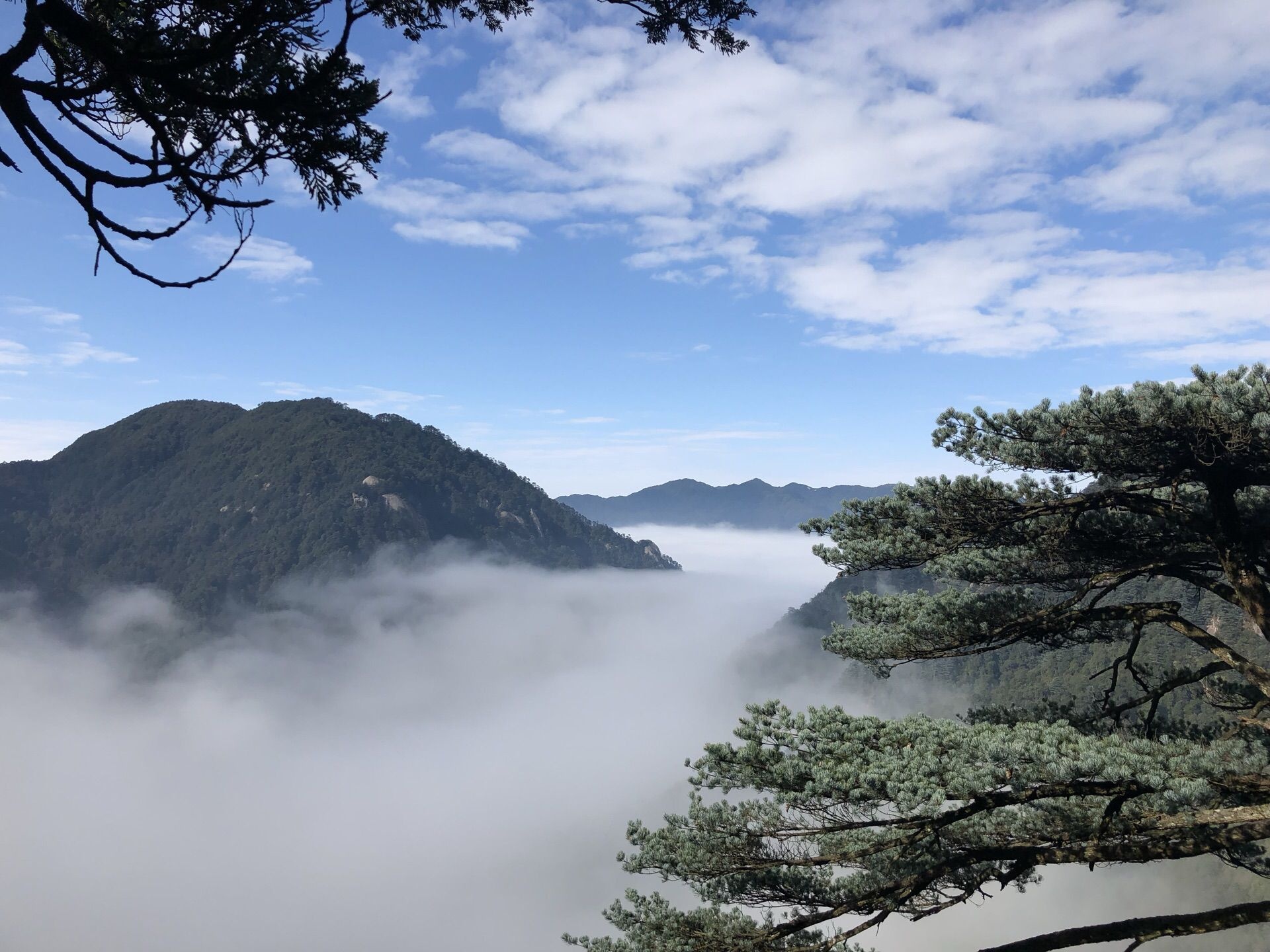 湖南莽山国家级自然保护区