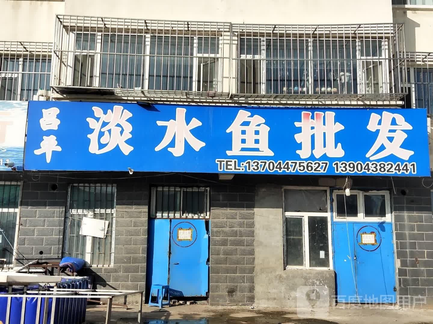 吕平淡水鱼批发