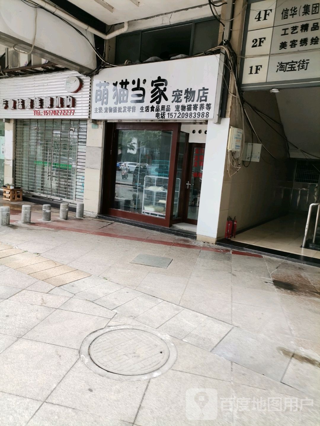 浔阳区萌猫当家宠物店