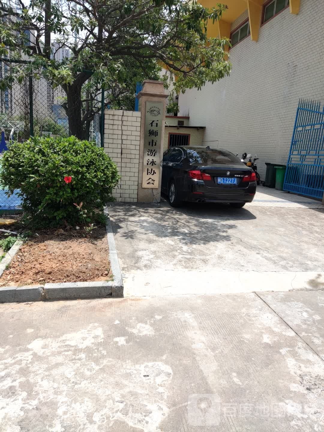 石狮市游泳协会