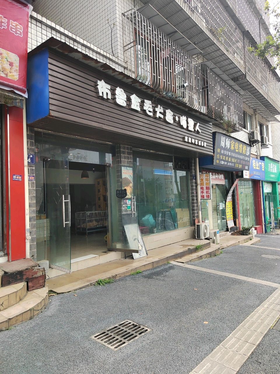 布鲁金毛犬舍·喵星人(阳光花园店)