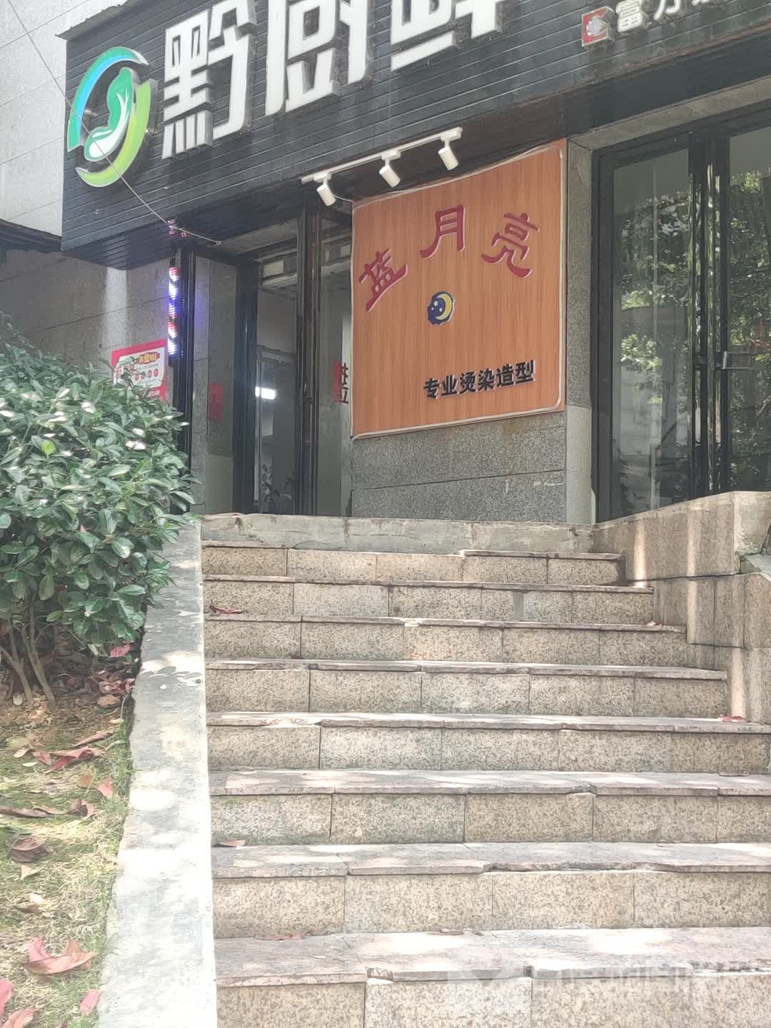 蓝月亮专业烫染造型