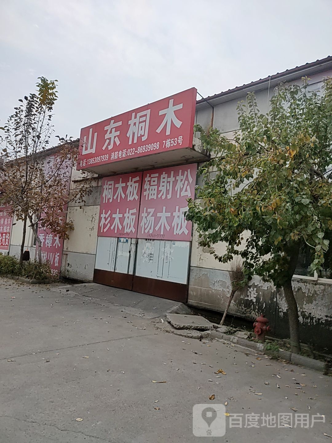 山东同木