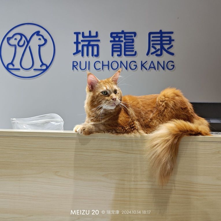 瑞宠康宠物医院