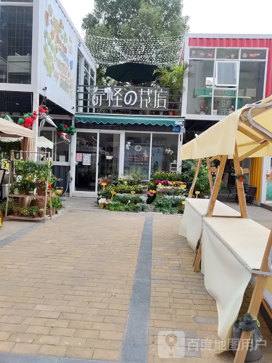 奇怪的鲜花(洋塘店)