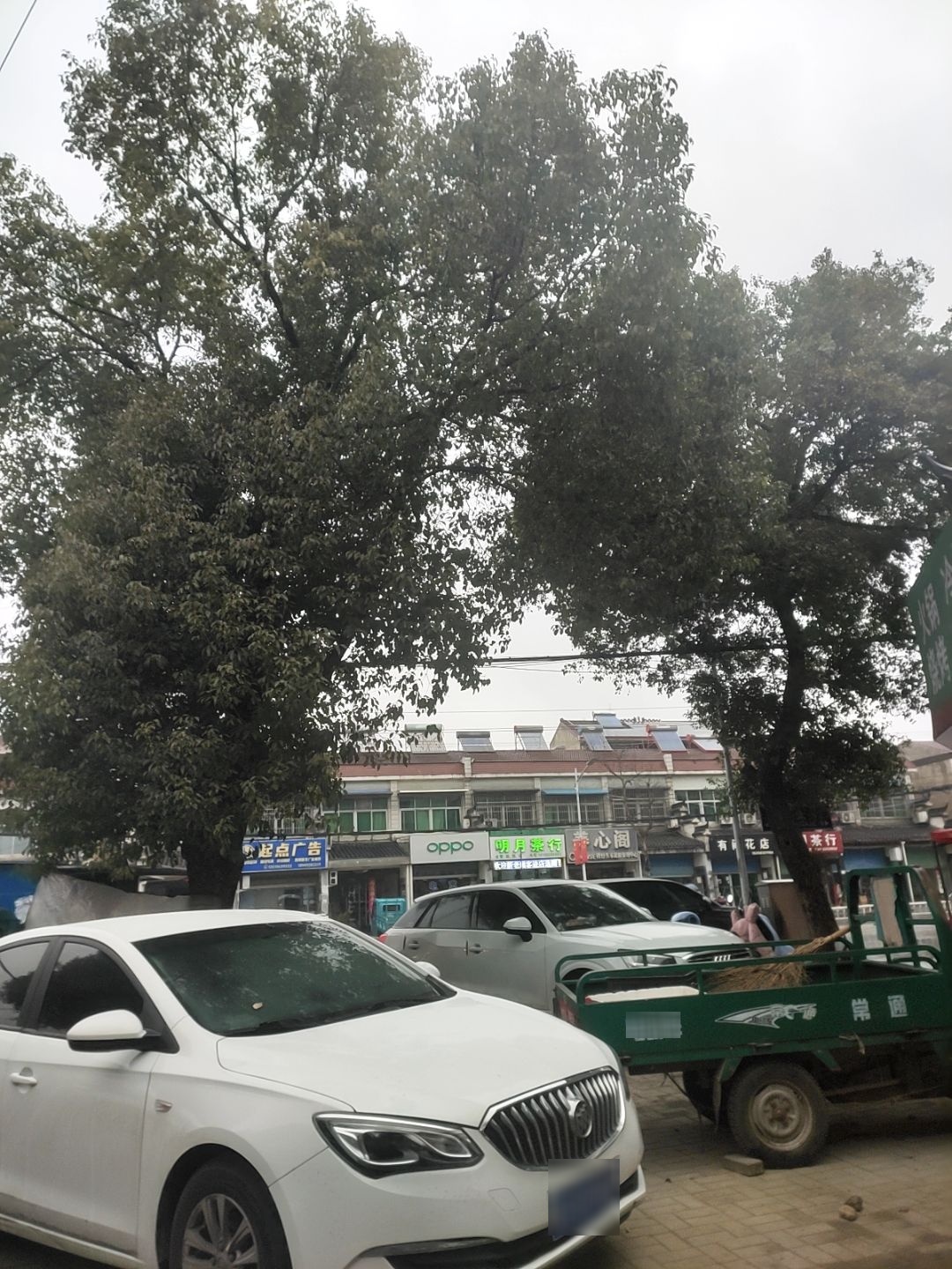 养心阁