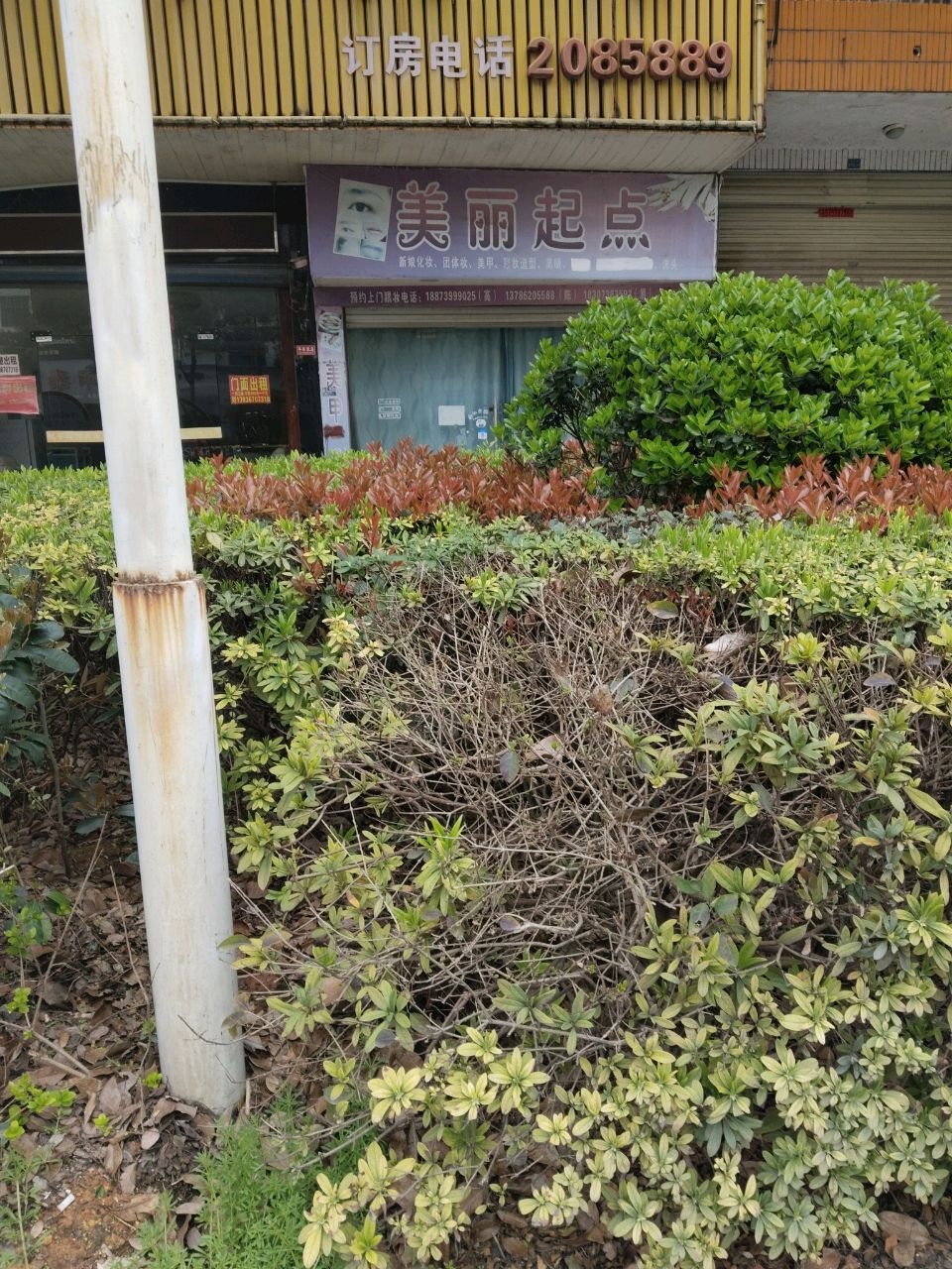 美丽起点