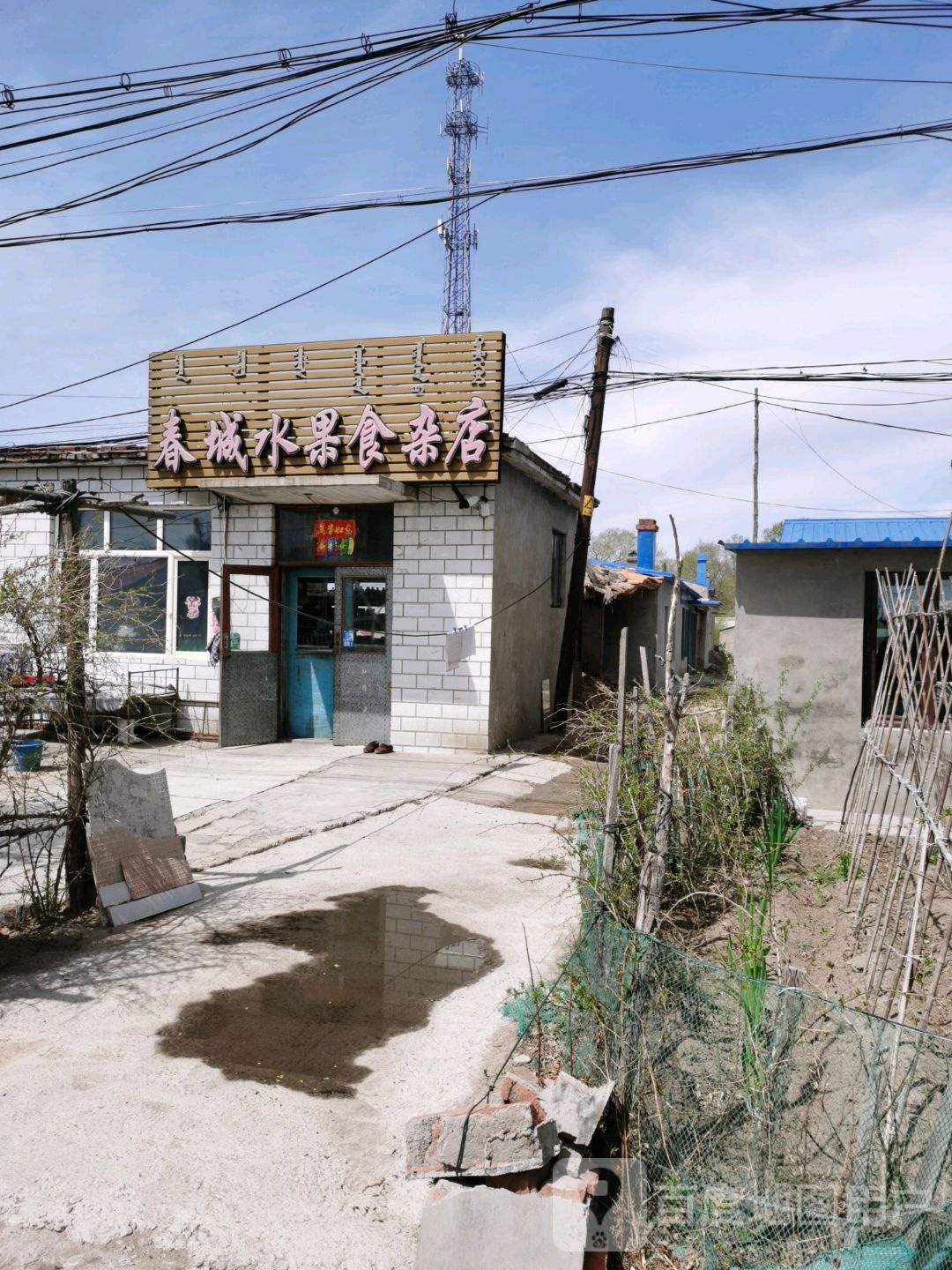 春城水果食杂店