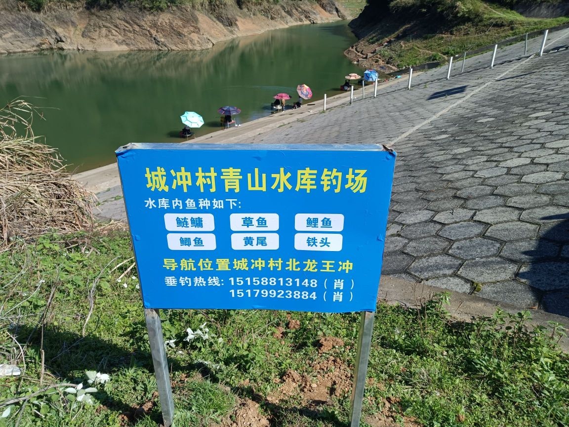 城冲村青山水库钓场