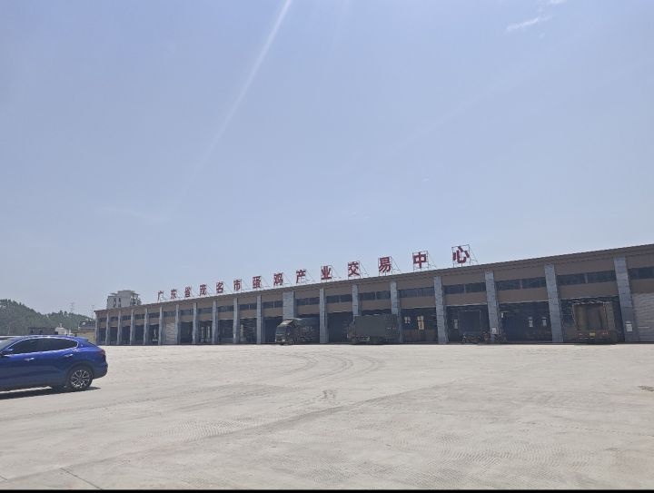 广东省茂名市蛋鸡产业交易中心