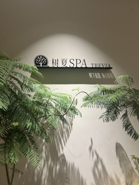 树夏·SPA