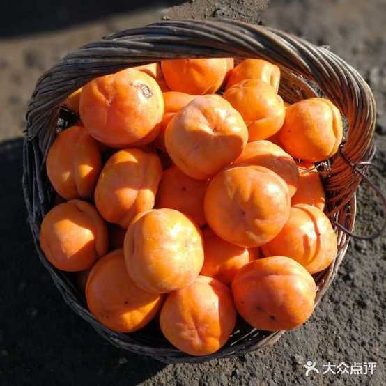 甘果公爵(天润广场店)
