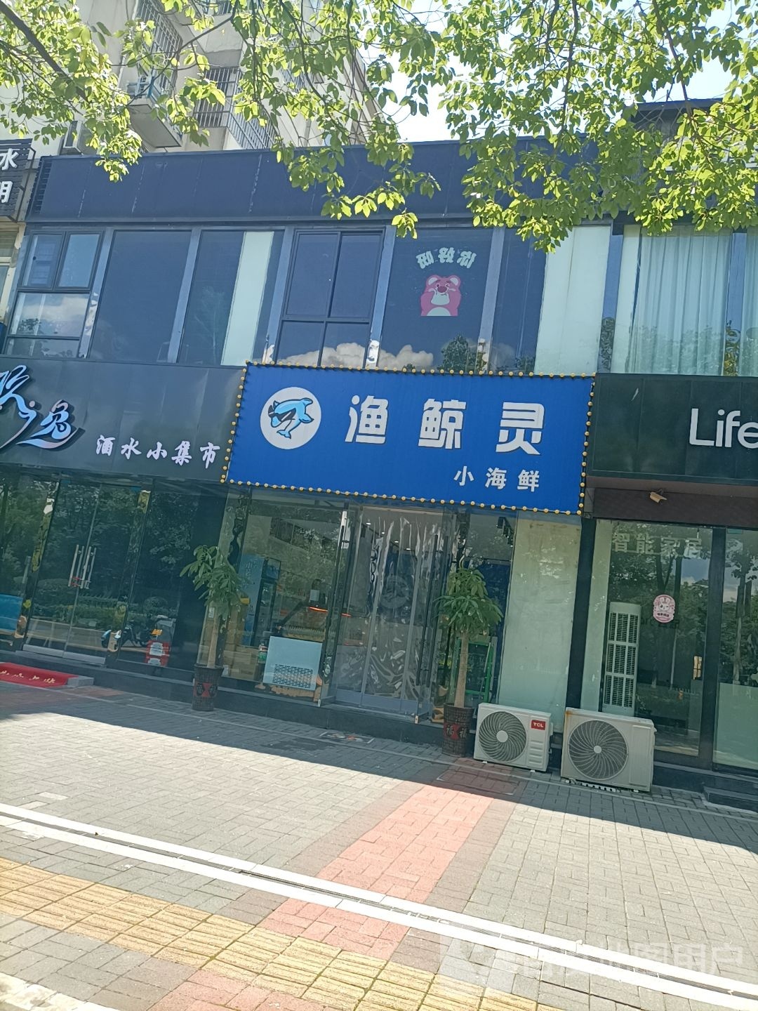 灵澹鲸东莅渔小海鲜