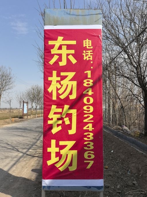 东杨钓场