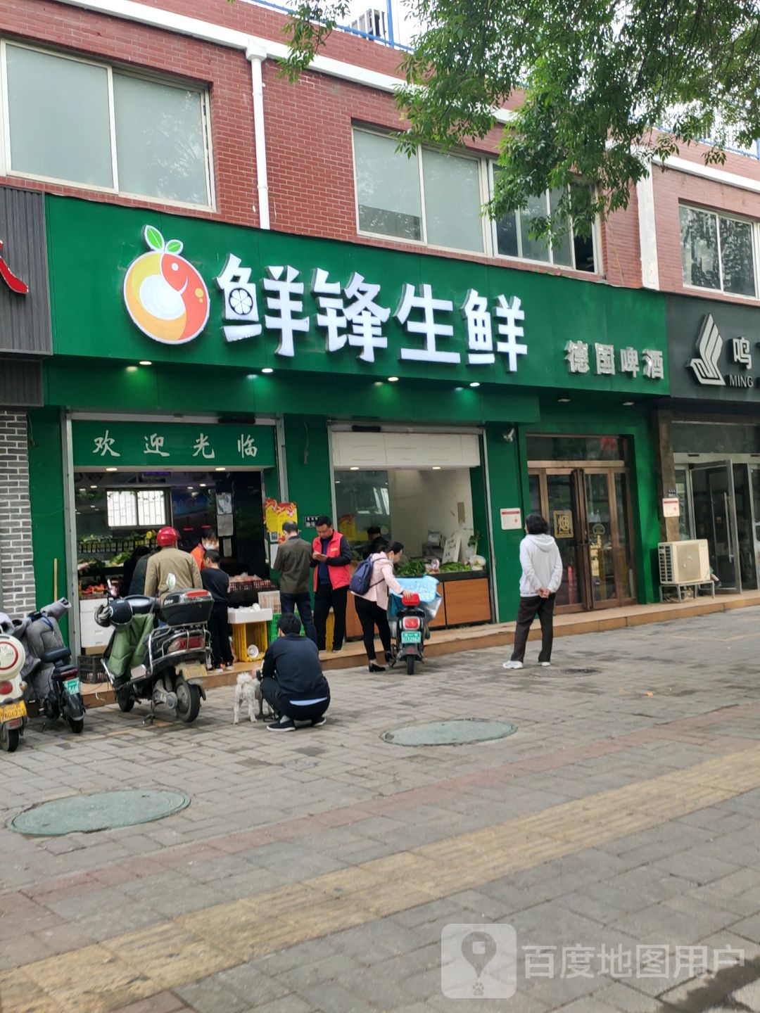 鲜锋生鲜(福彩路店)