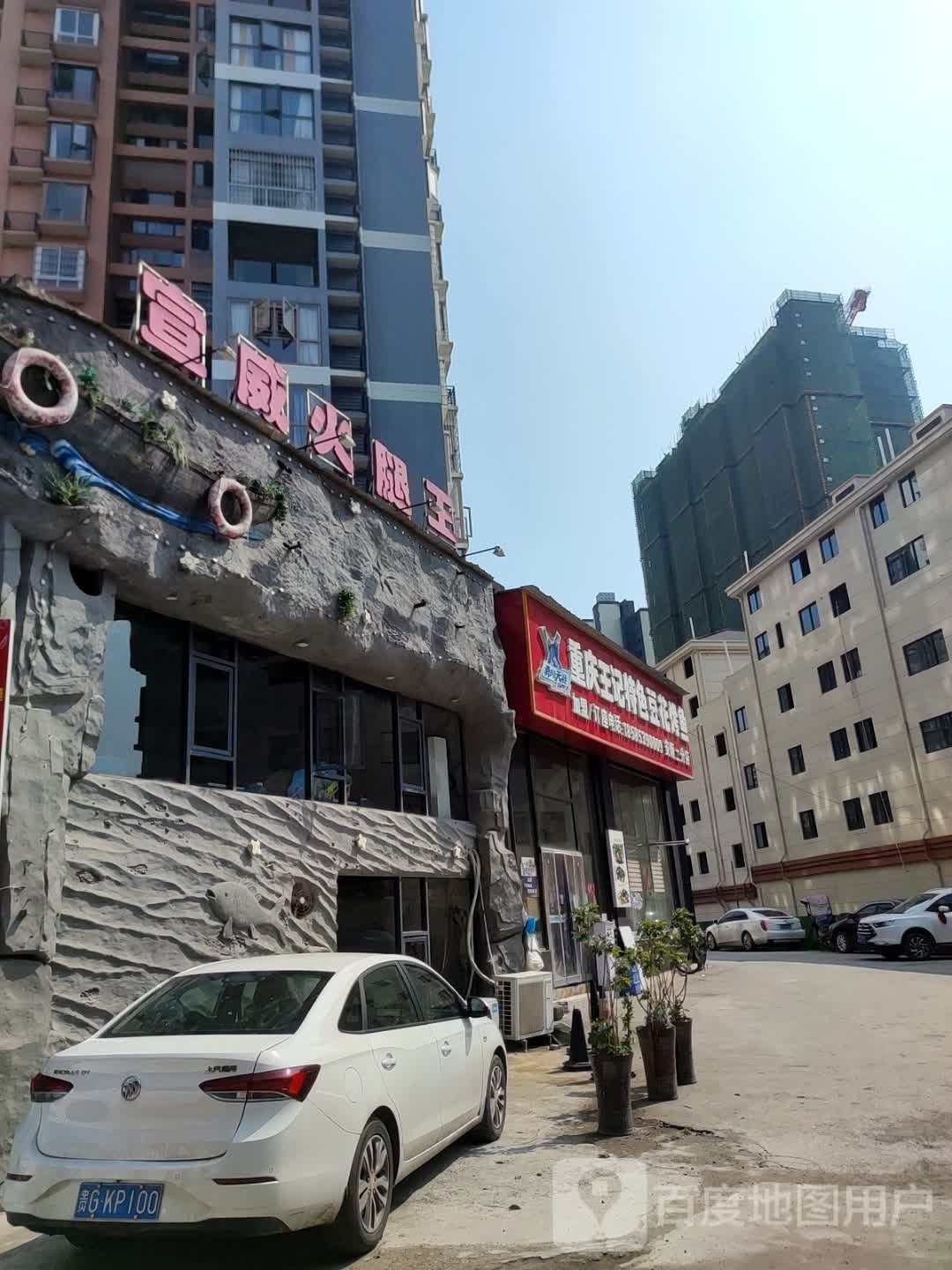 苗王鱼