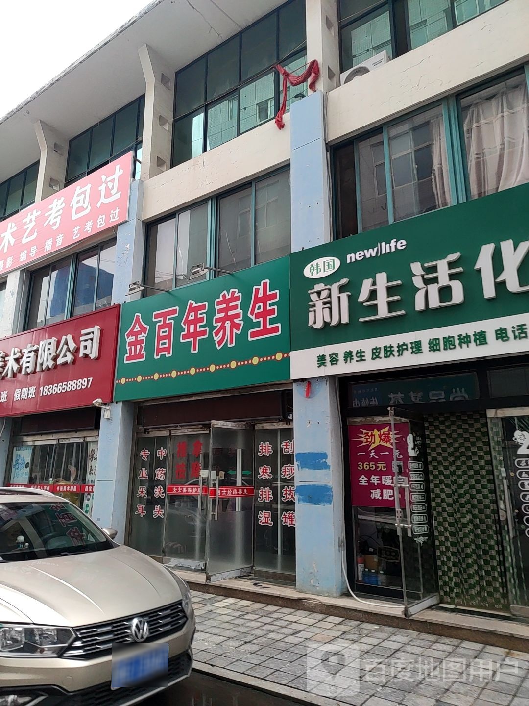 金百年养生