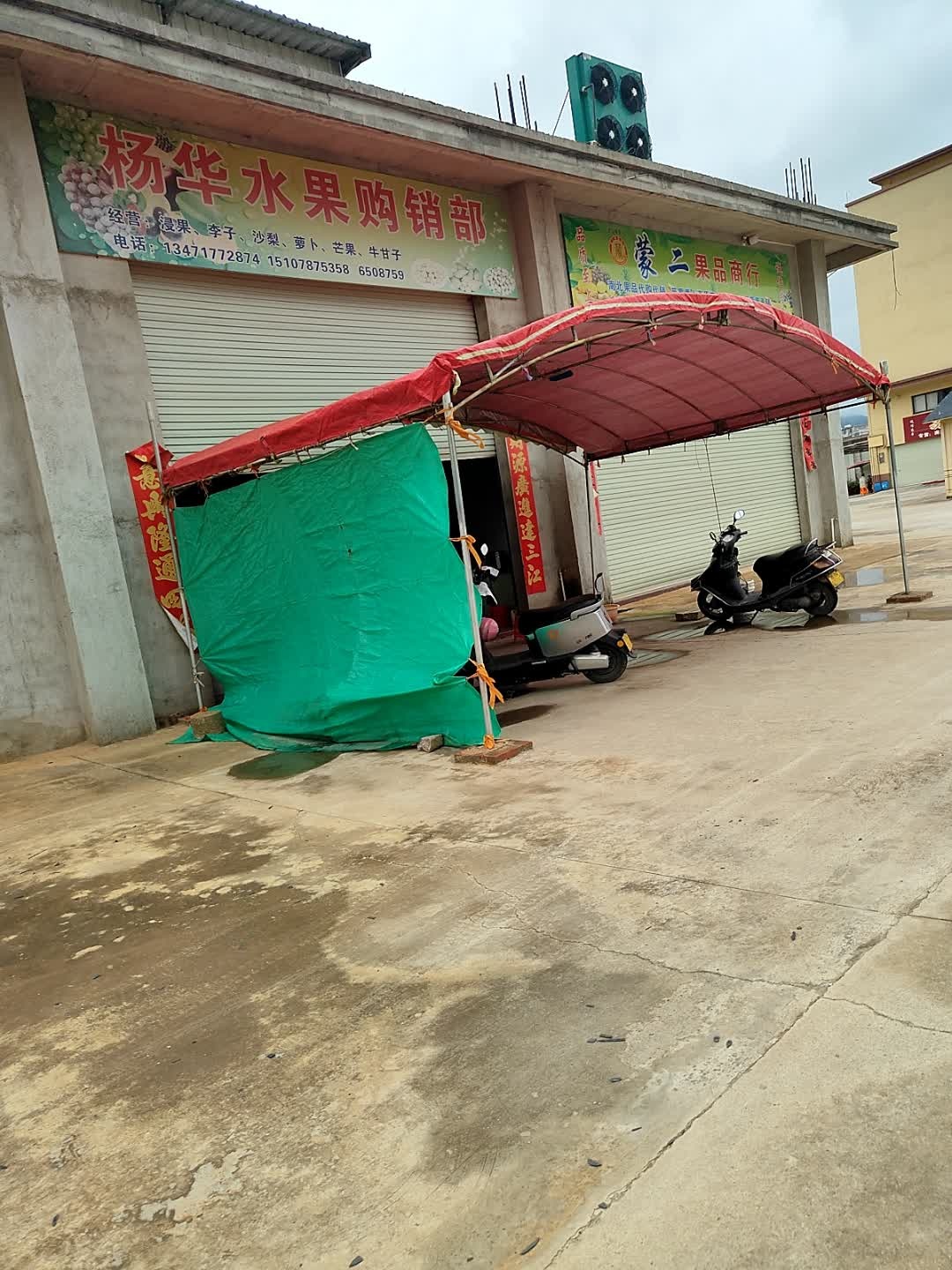 杨华水果购销部