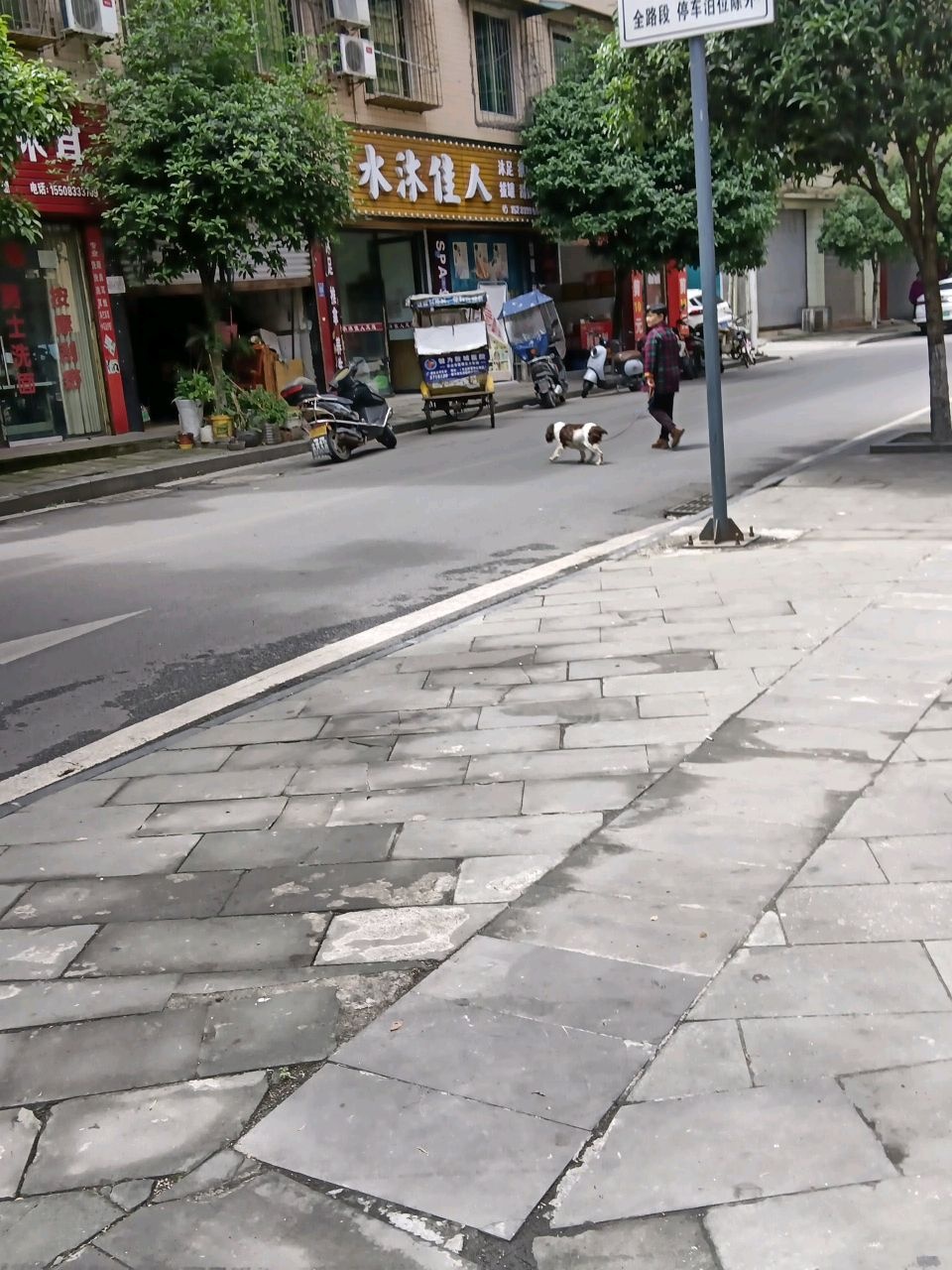 水沐佳人