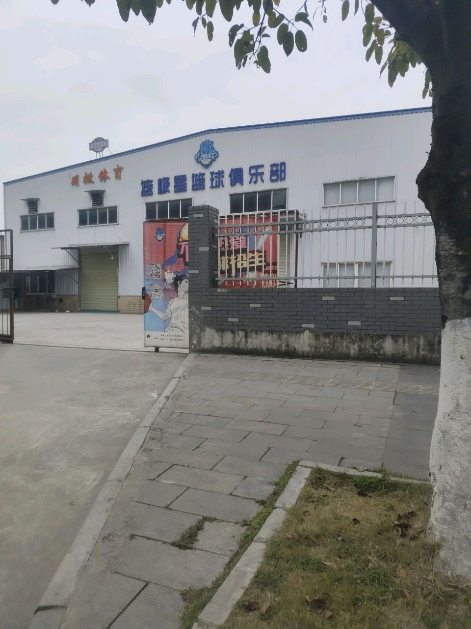 篮极星篮球俱乐部