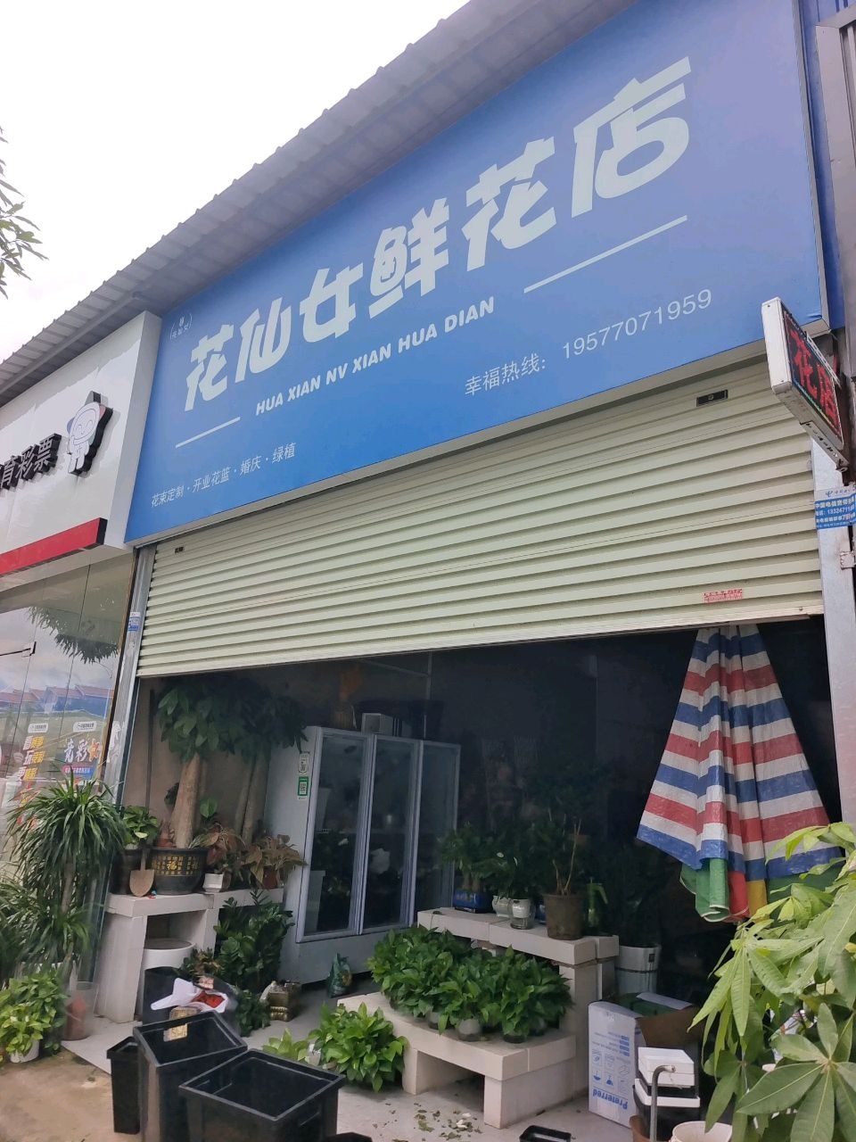 花仙女鲜花店(佛子路店)