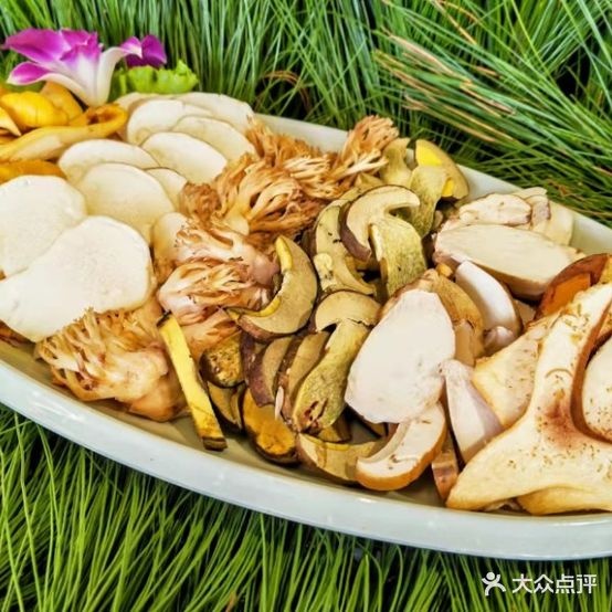 山珍源·野生菌活过