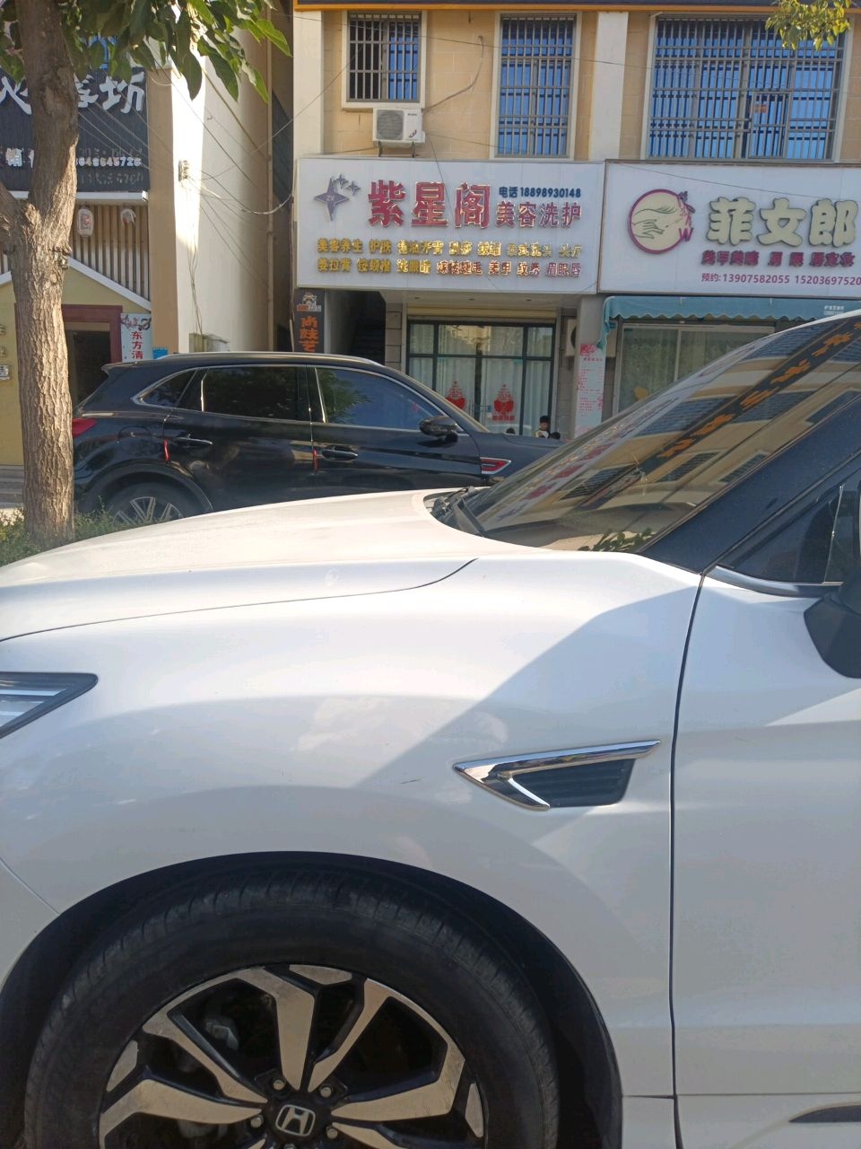 紫星阁美容洗护