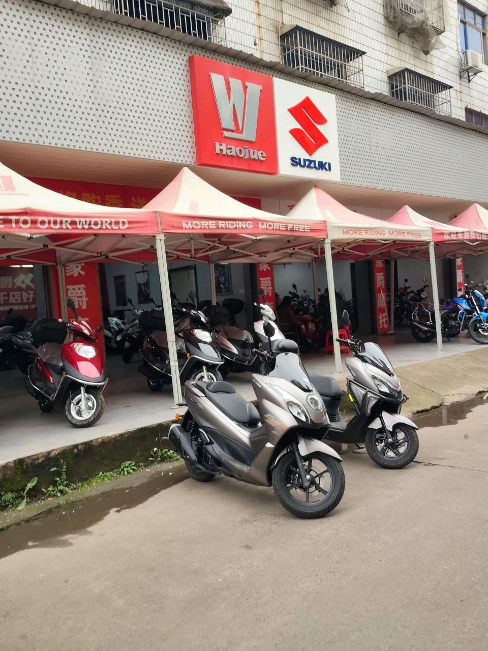 SUZUKI(家电城一路店)