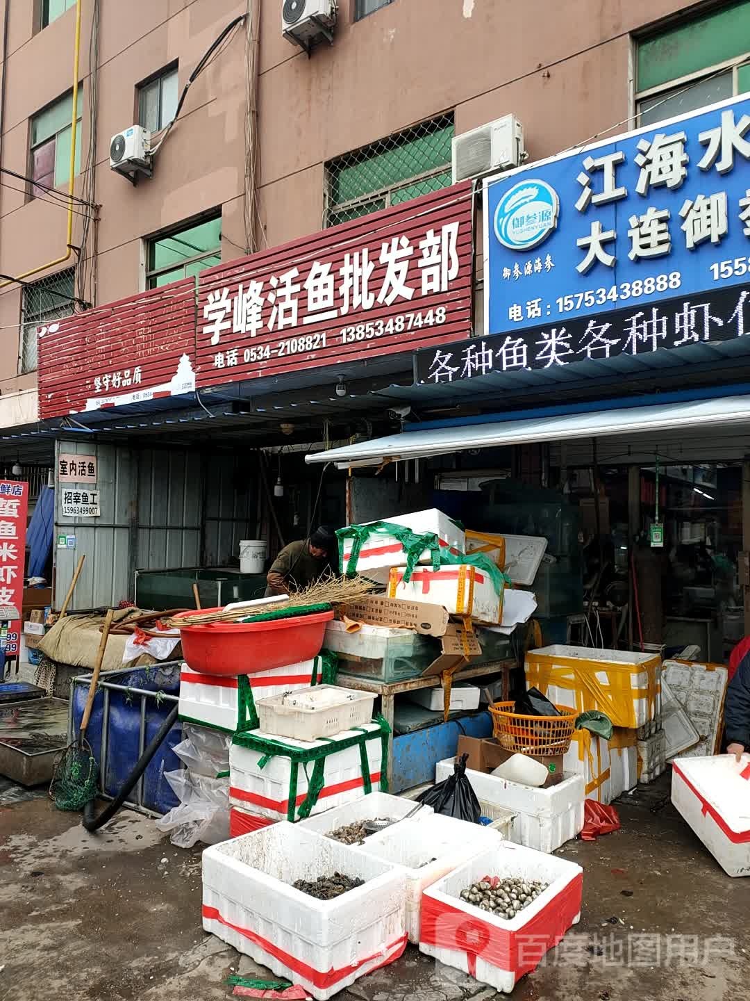 学峰活鱼批发部