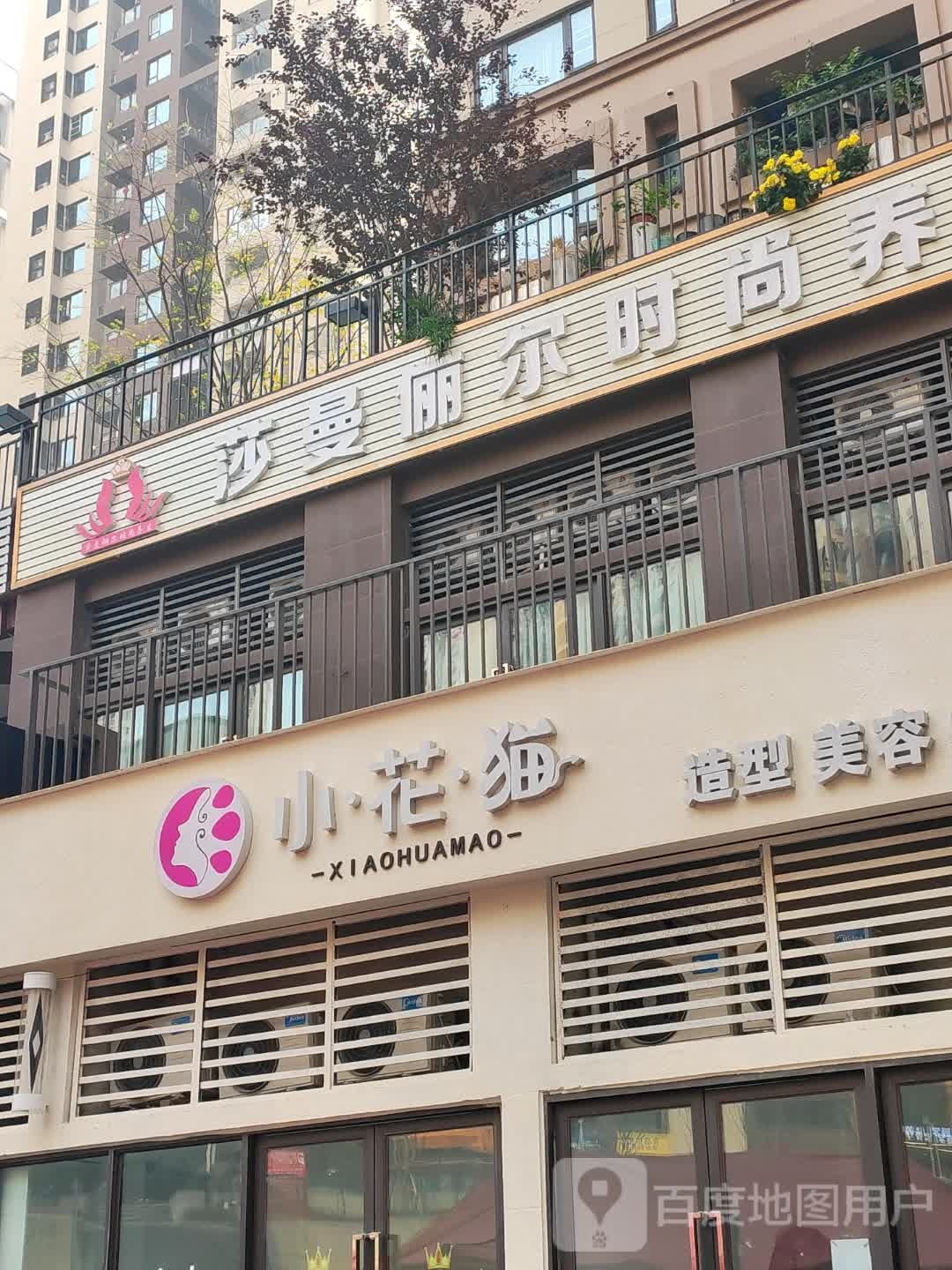 小花猫造型美容