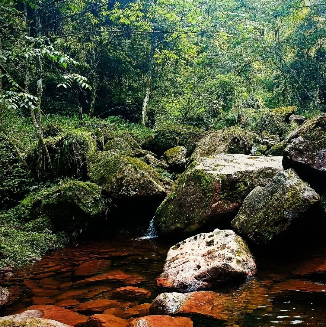 中国丹霞谷旅游度假区