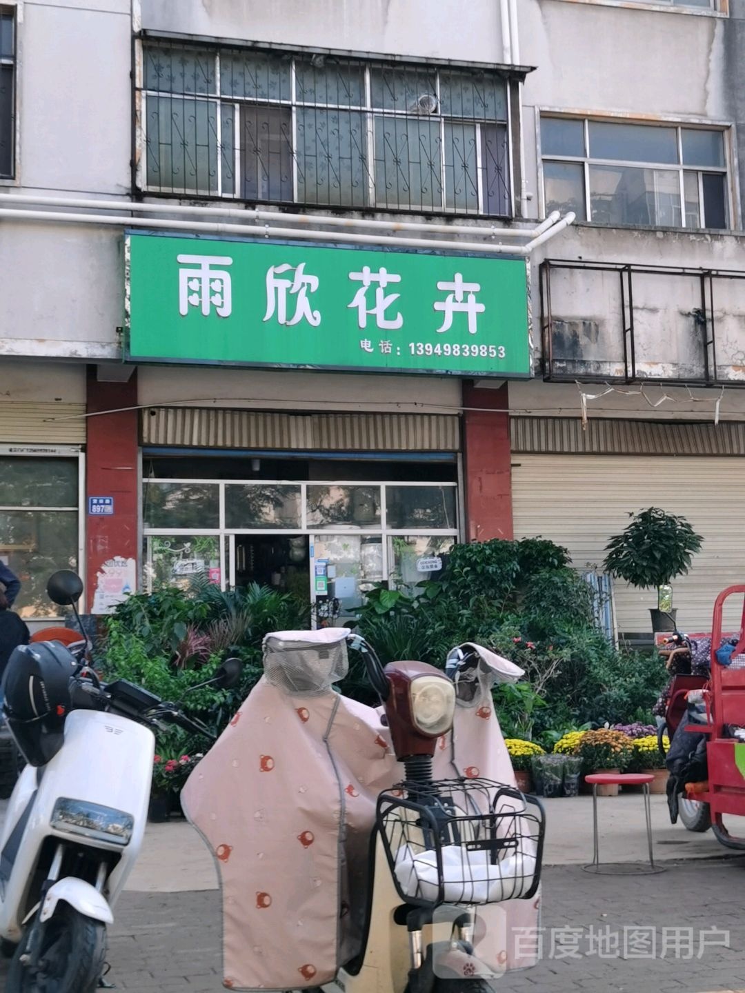 雨欣花卉(望田路店)