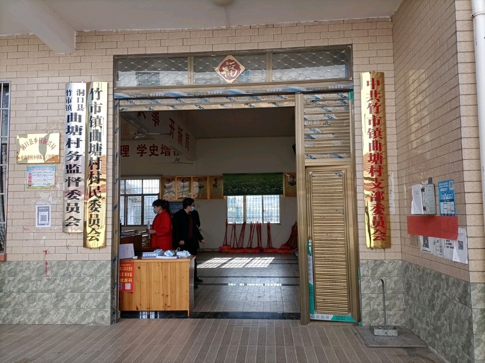 湖南省洞口县竹市镇曲塘村