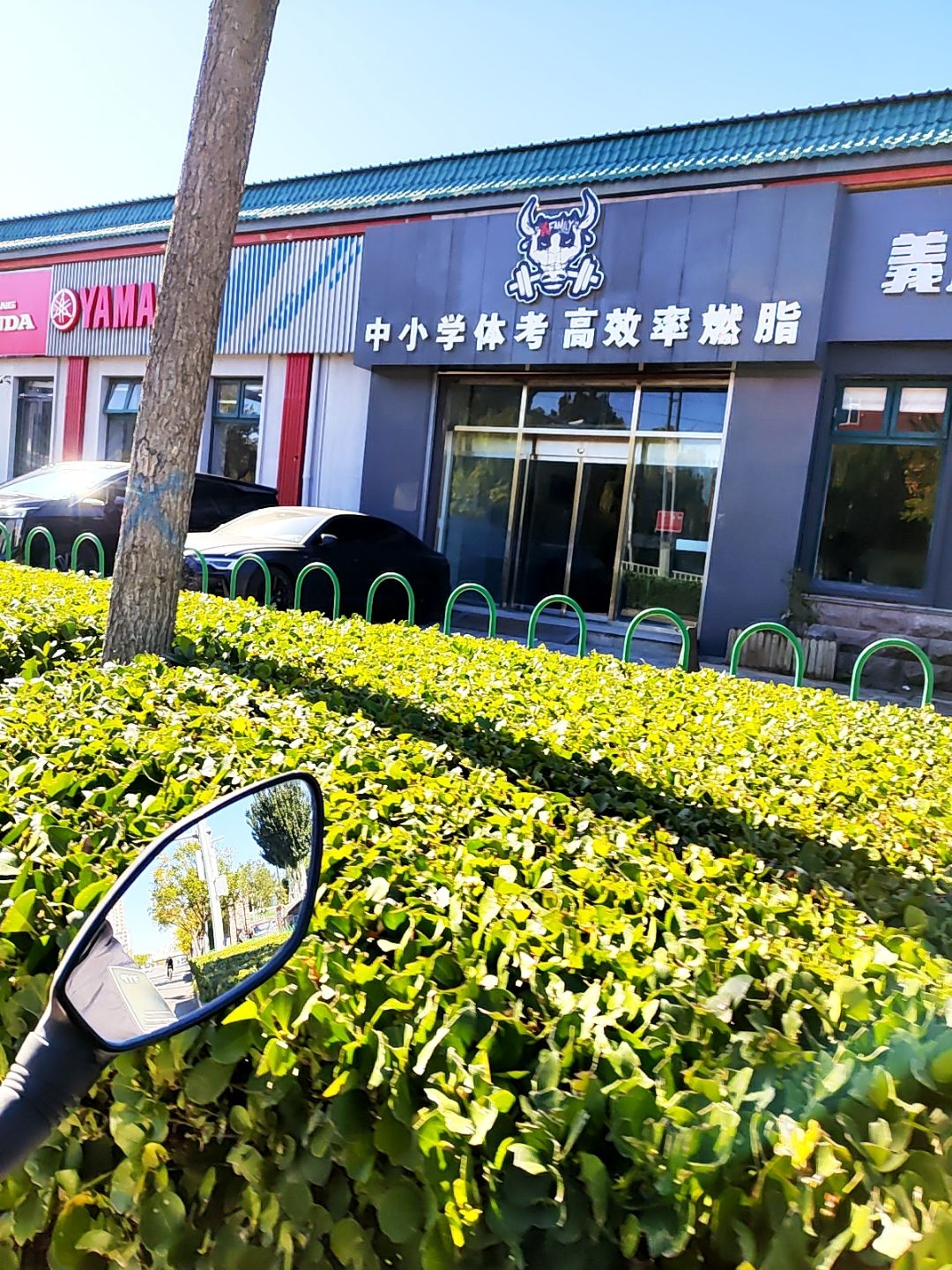 中小学体考高效率燃脂