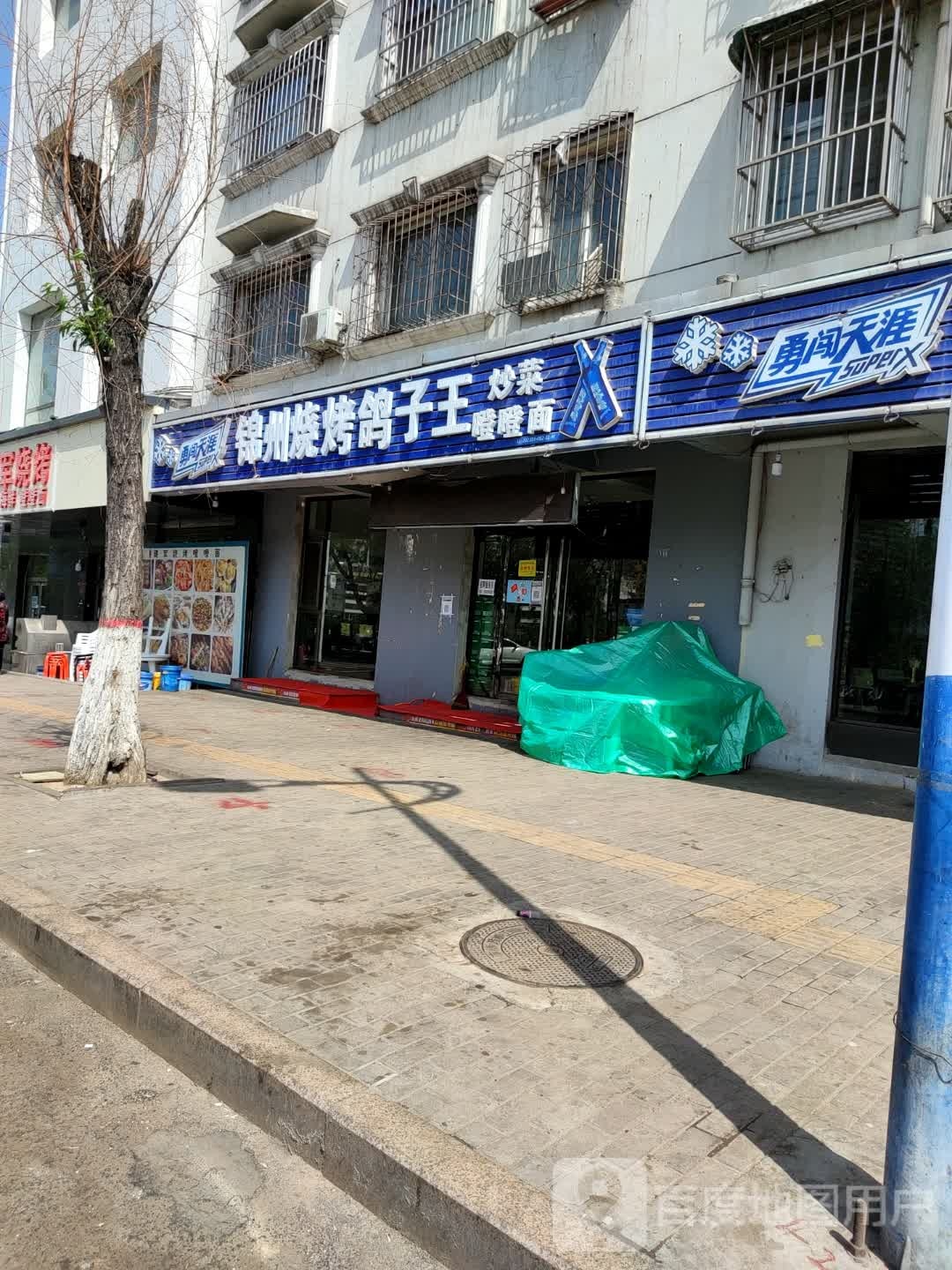 锦州烧鸽子子王
